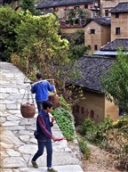 阳产土楼随拍-4