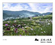 山花烂漫