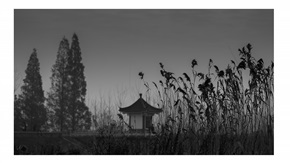 《深秋》