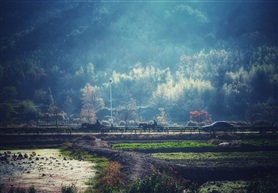如画山村