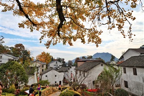 山村秋色