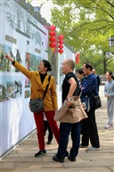 看展