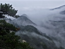烟雨天柱山-5