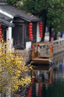 《遇见 黎里》22
