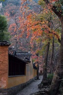 深山有古刹