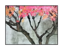 《老枝新叶》
