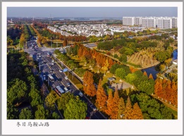 冬日马鞍山路