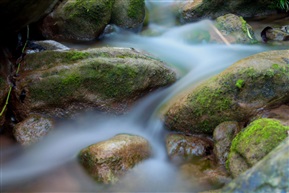 小溪流