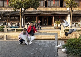 阳光灿烂的日子