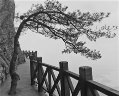 2019江西宜春行（031）
