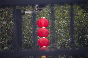 关起来的春节
