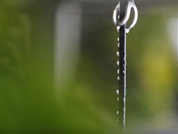 窗外“珠”