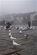 拍照