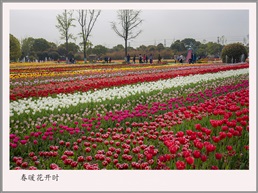 春暖花开