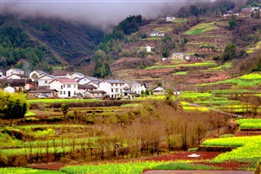 山村