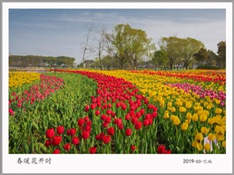 春暖花开时