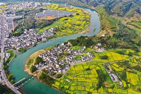 春回大地
