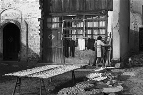 晒--2