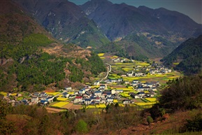 茅草坝