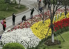 摄春2