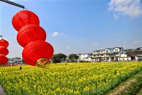 春天里