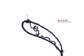腾