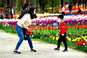 母子互动