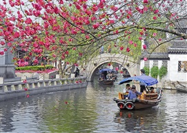 《春暖花开》