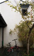 江南小院儿