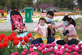 春暖花开