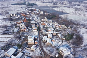 初雪