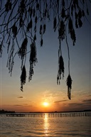 淀山湖夕照