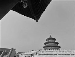 2019夏末初秋在北京（051）