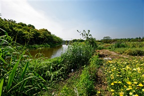 田园系列-3