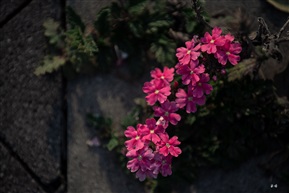 一抹~
