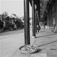 晒--4