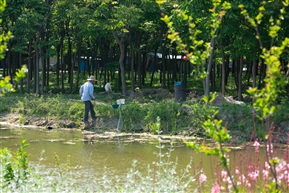 田园系列-1