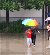 雨中曲