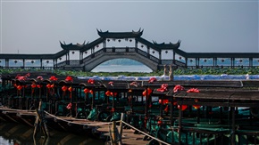 古连桥