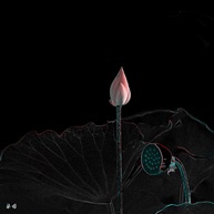 荷
