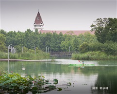 荷塘即景