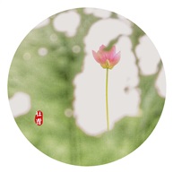 荷