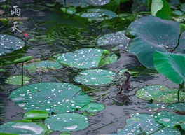 雨天