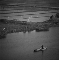 水乡陈曲