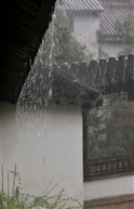 秋雨（1）
