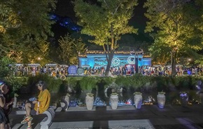 亭林夜画