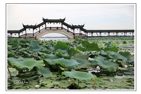 《夏》