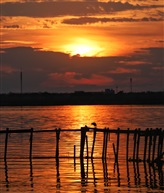 淀山湖夕照