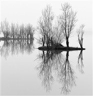 仙山湖印象（002）