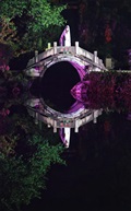 亭林夜画1